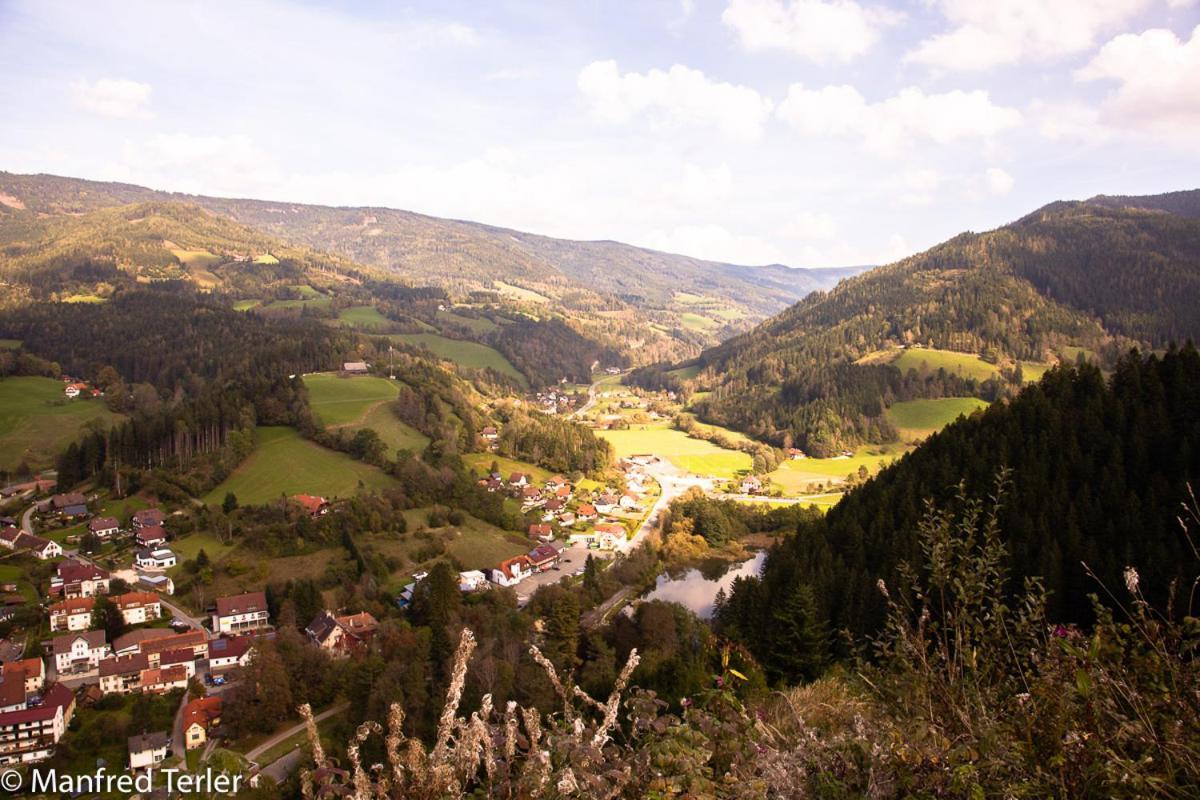 Ferienwohnung Am Sonnenweg Stanz Im Murztal Luaran gambar